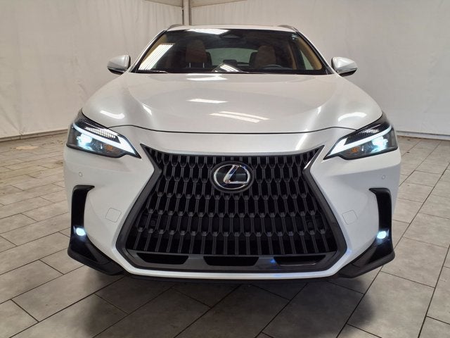 2025 Lexus NX 250 Premium