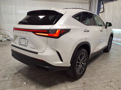 2025 Lexus NX 250 Premium