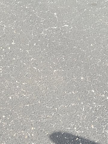 2019 Toyota Tacoma 2WD SR5