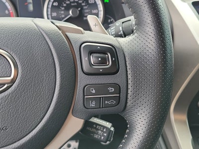 2021 Lexus NX NX 300 F SPORT