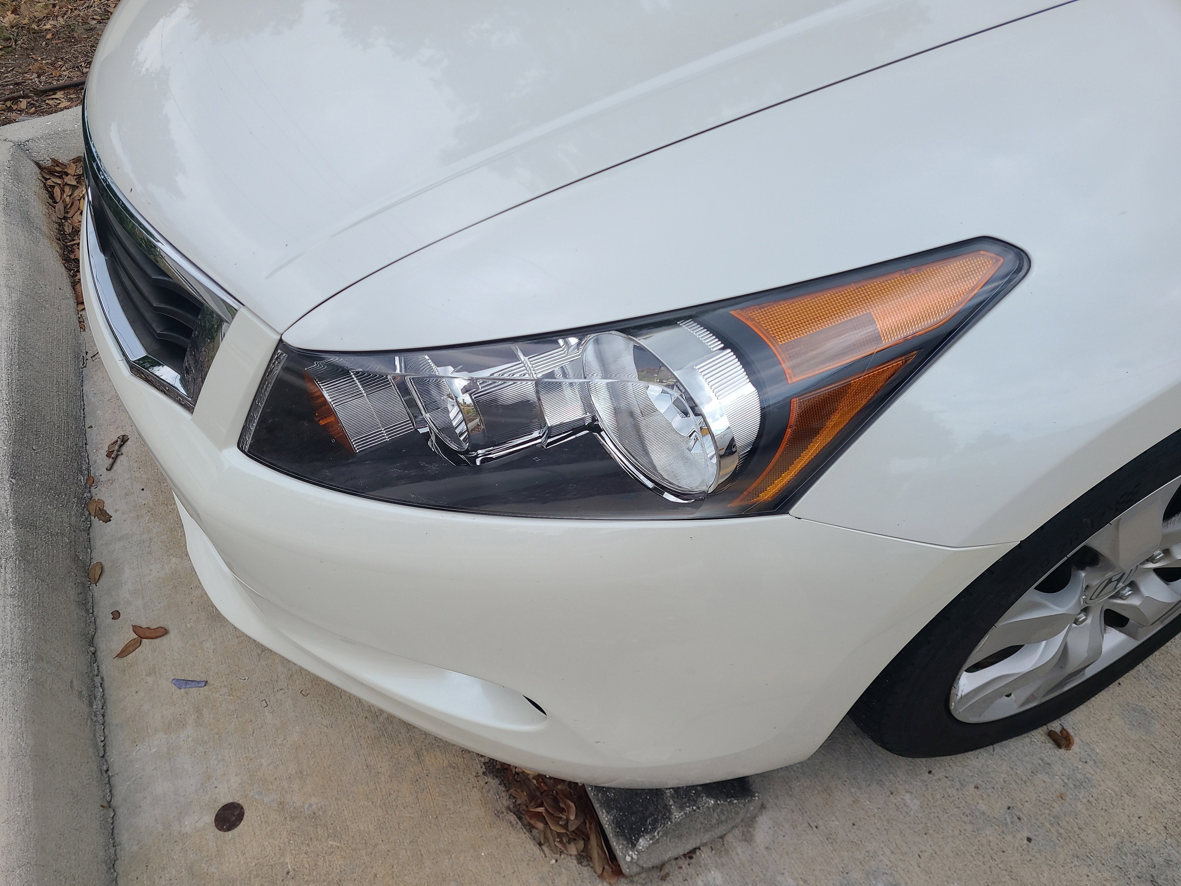 2010 Honda Accord Sdn EX-L