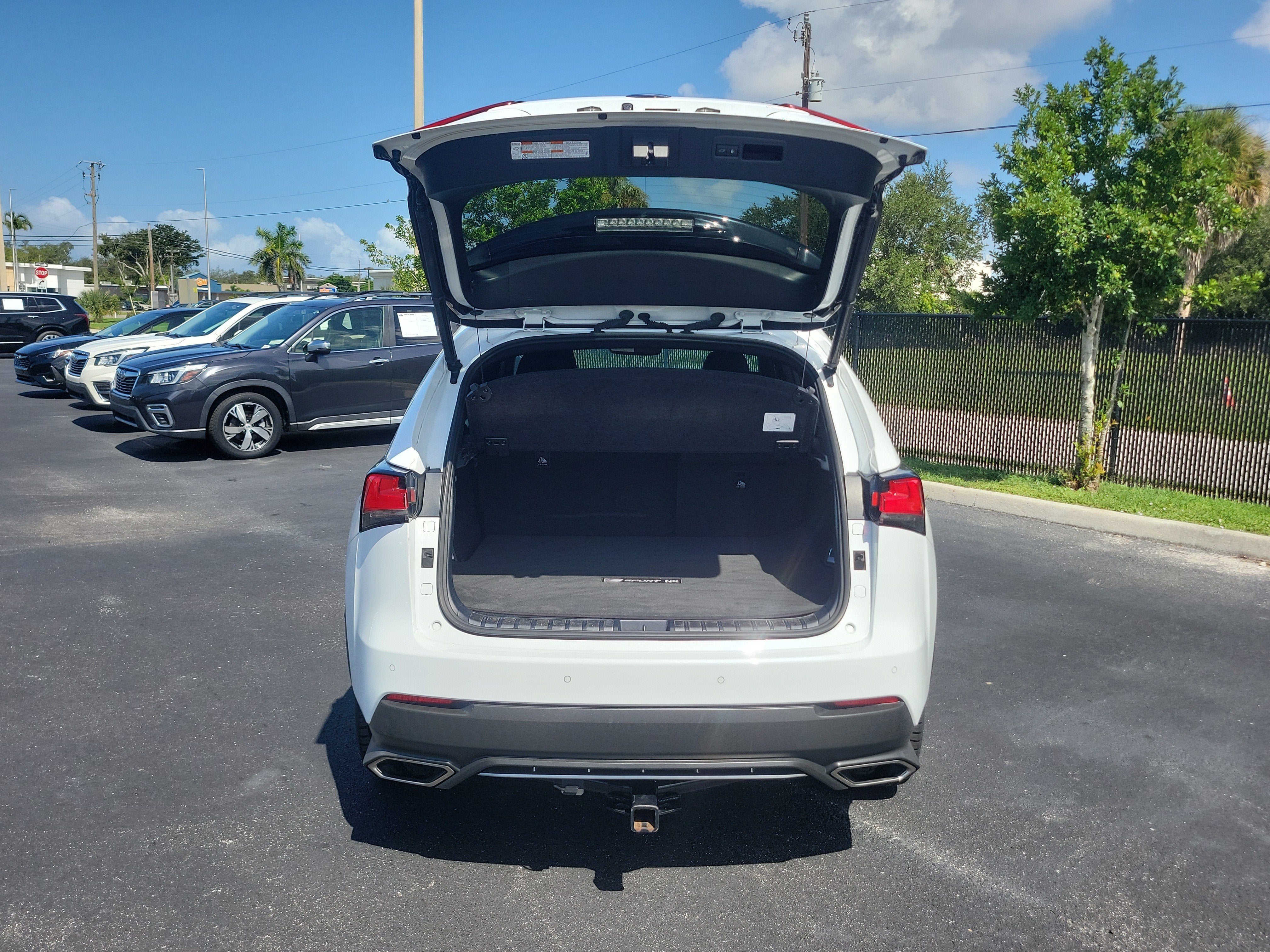 2021 Lexus NX NX 300 F SPORT